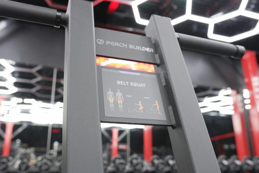 Тренажер приседание с поясом серии Peach Builder PB312 на свободных весах Тренажер приседание с поясом серии Peach Builder PB312 на свободных весах